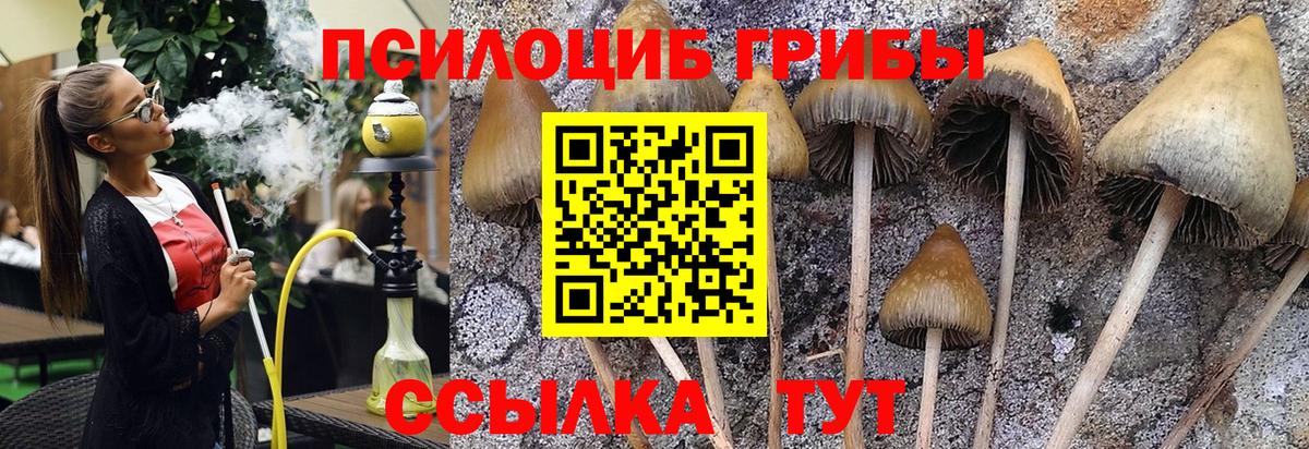 Галлюциногенные грибы Magic Shrooms  Вход с VPN  Людиново  Галлюциногенные грибы Magic Shrooms 